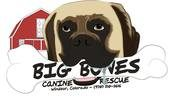 AnimalsFirst Testimonial Big Bones Canine Rescue